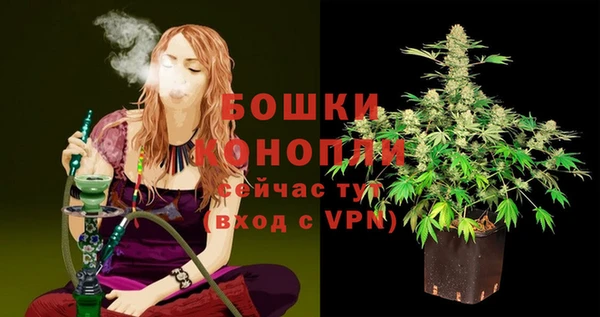 СК Абинск